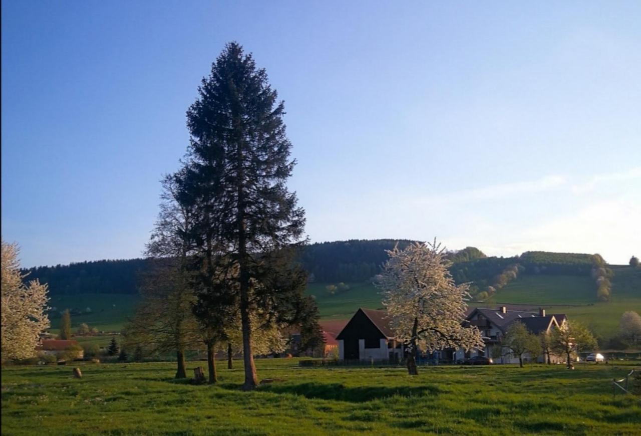 Agroturystyka 