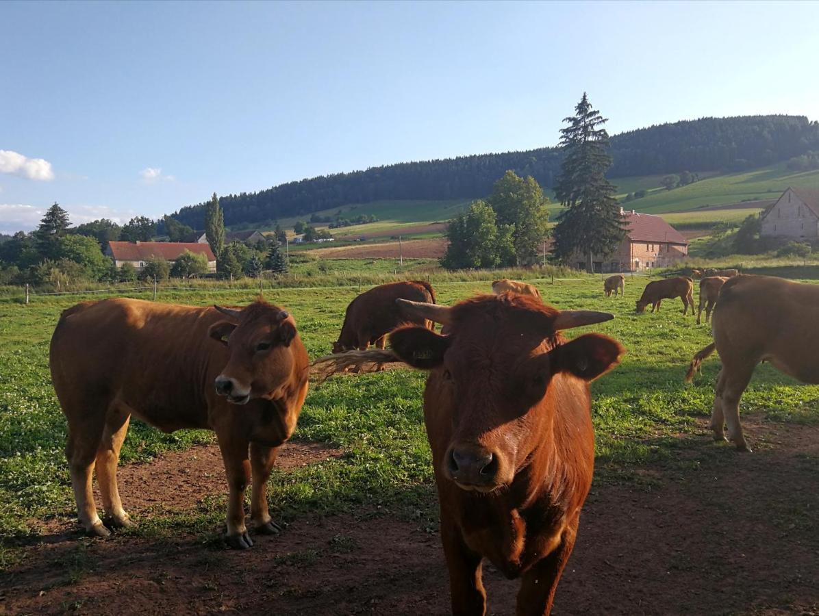 Agroturystyka 