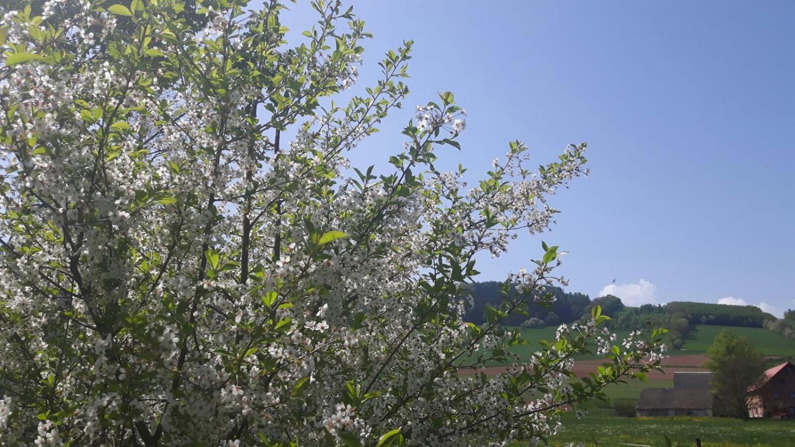 Agroturystyka 