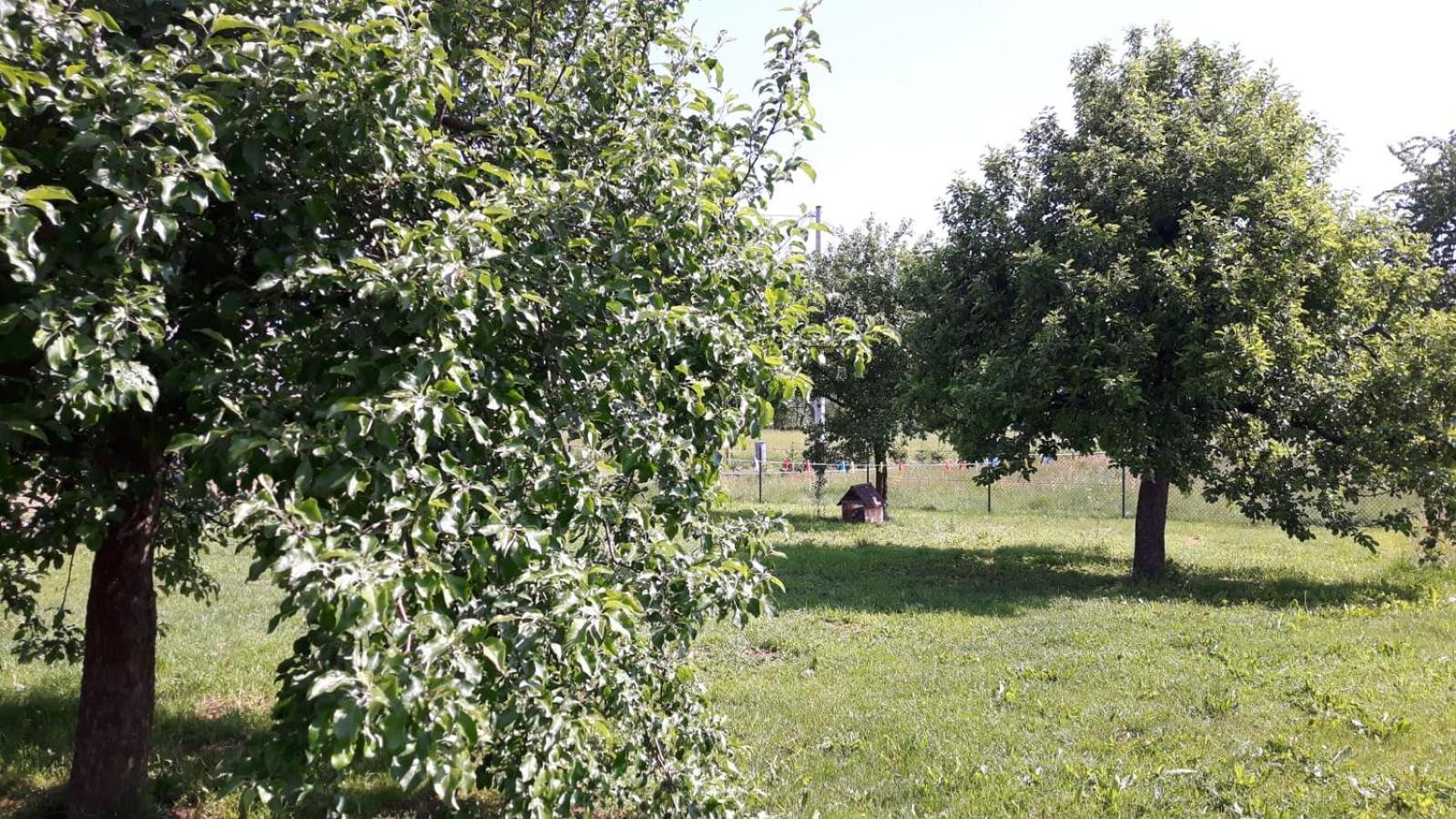 Agroturystyka 